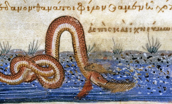 Oppian of Apamea, 'Cynegetica': Combat between a snake and a coypu (detail)
