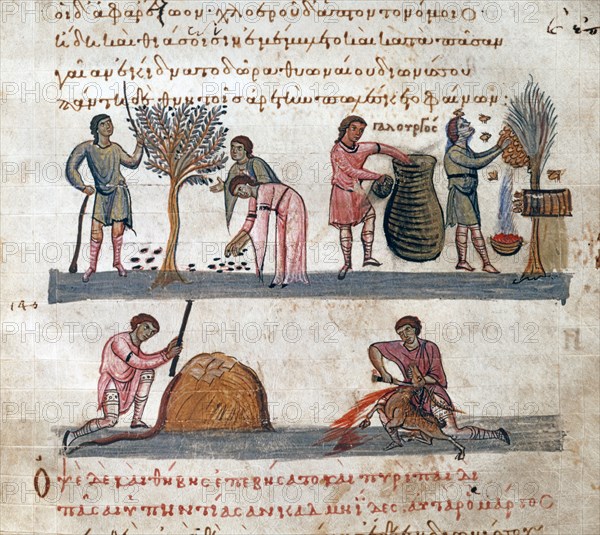Oppien d'Apamée, "Cynégétiques" : La vie de l'agriculteur. La récolte des olives, du miel, le battage du blé, et l'abattage du mouton