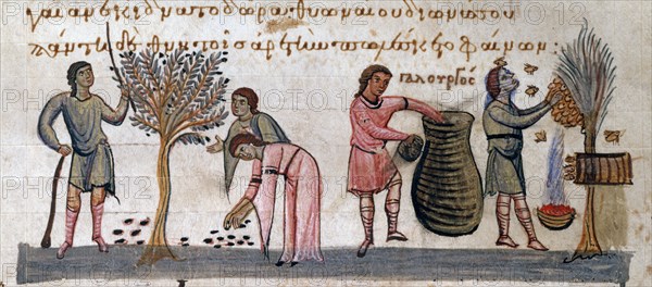 Oppian of Apamea, 'Cynegetica': The farmer's life. Harvesting olives and honey