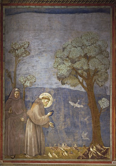 Giotto, Le sermon aux oiseaux