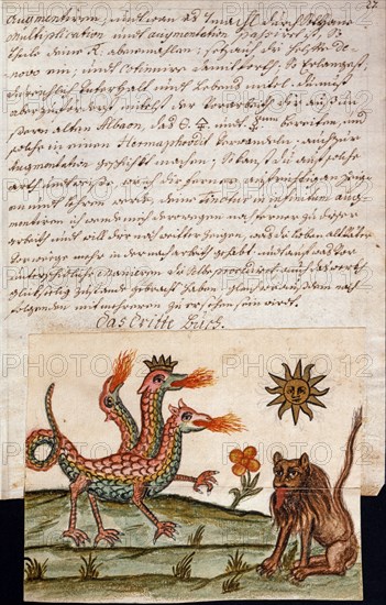 Dragon à trois têtes : le feu sacré divisé en sel, soufre et mercure, manuscrit alchimique "Clavis Artis" attribué à Zoroastre (Zarathoustra)