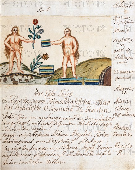 Les trois roses, symboles alchimiques lunaires : teinture philosophique, teinture métallique et fleur de sagesse, manuscrit alchimique "Clavis Artis" attribué à Zoroastre (Zarathoustra)