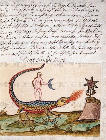 Phase de l'Opus Alchemicus, manuscrit alchimique "Clavis Artis" attribué à Zoroastre (Zarathoustra)