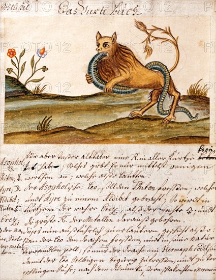 Phase de l'Opus Alchemicus, manuscrit alchimique "Clavis Artis" attribué à Zoroastre (Zarathoustra)