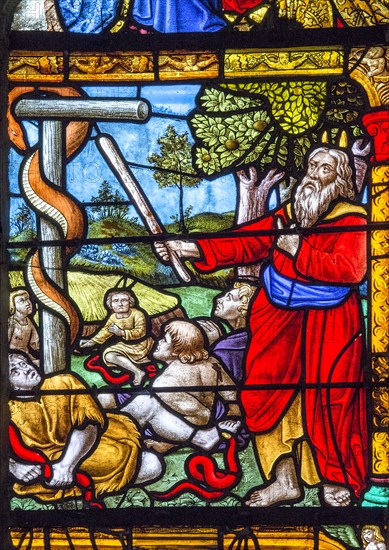 Vitrail de la Genèse : Moïse et le serpent d'airain