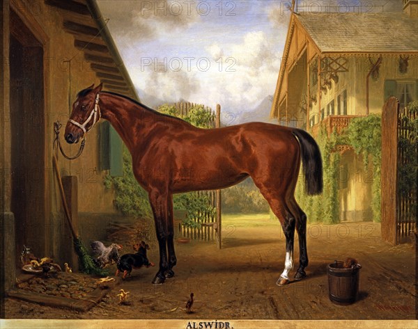 Pfeiffer, Portrait du cheval "Alswidr" dans les écuries des domaines royaux