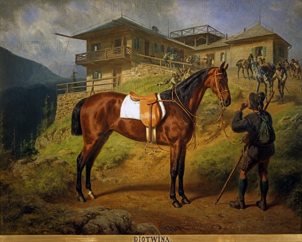 Pfeiffer, Portrait du cheval "Diotwina" au Königshausen à Grammersberg