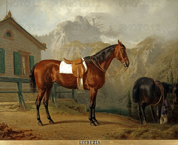 Pfeiffer, Portrait du cheval "Lucrezia" dans la cour du Soiernhaus