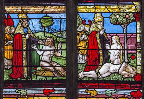 Vitrail de la Genèse : Dieu crée Adam et Eve