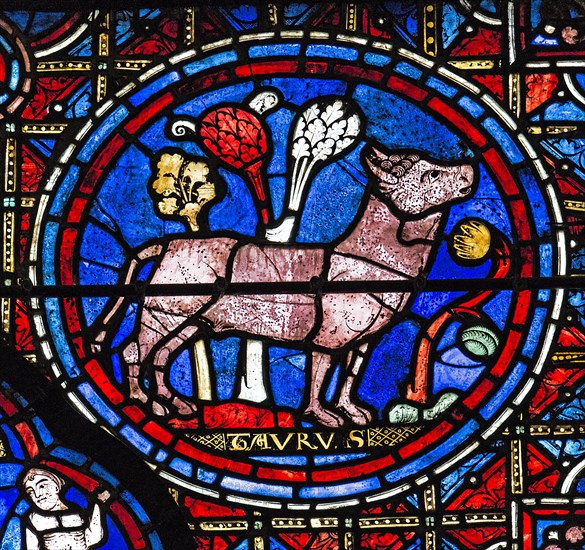 Le signe zodiacal du taureau (vitrail de Chartres)