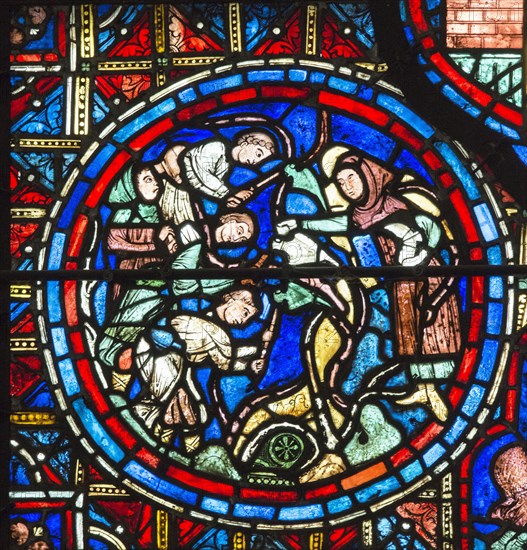 La culture de la vigne (vitrail de Chartres)