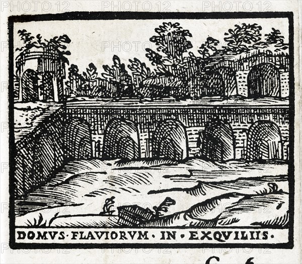 Domus Flaviorum in Exquiliis : Vestiges de la Domus Flavia à Rome