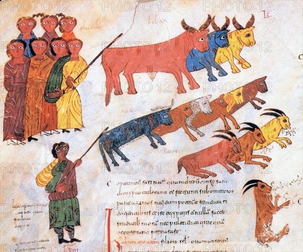 Codex Biblicus Legionensis, folio 38v