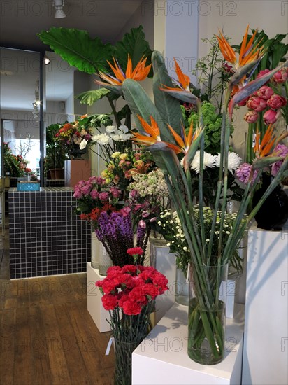 Boutique de fleurs "Debeaulieu"