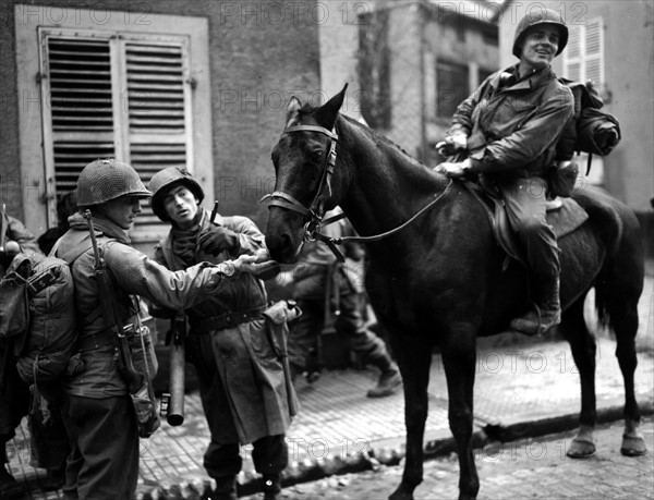 U.S infantrymen have found a useful pet, in this horse, Schirmeck area (France), November 25,1944