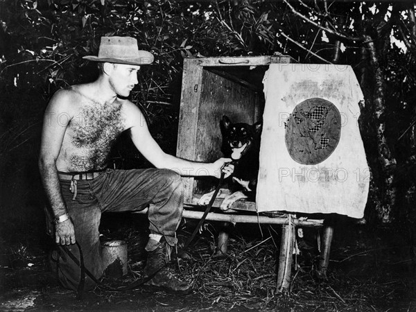 Dog patrols on Burma front (1944)