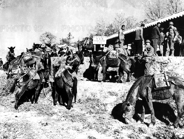 Des vétérinaires américains montrent aux Chinois comment charger le matériel sur les poneys, 1944