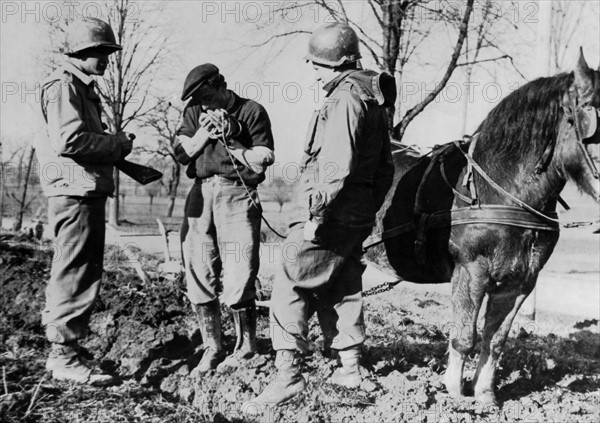 American troops discuss plowing with a French Farmer in Alsace, February 23, 1945