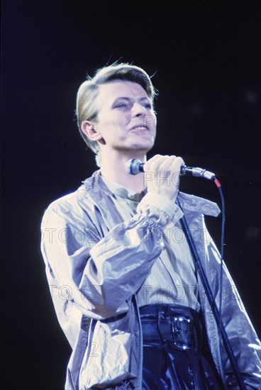 David Bowie