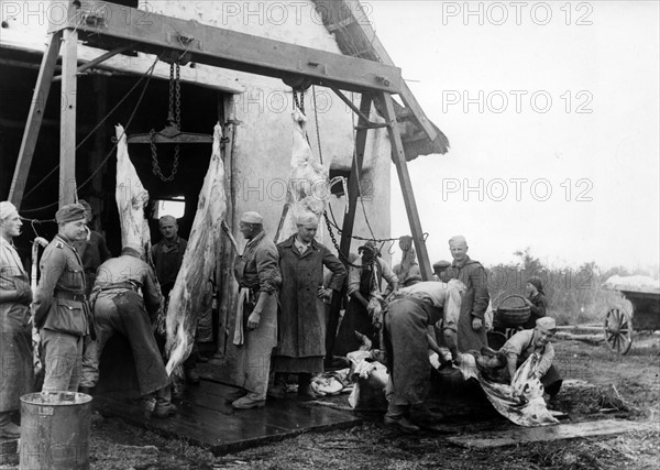 Third Reich - Supplies at the Eastern front 1941