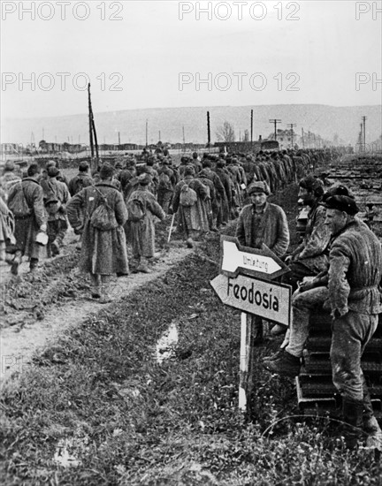 Third Reich - Prisoner convoy at the Eastern front 1942