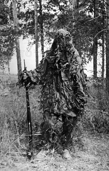 Third Reich - Camouflage at the Finnish-Soviet front 1941