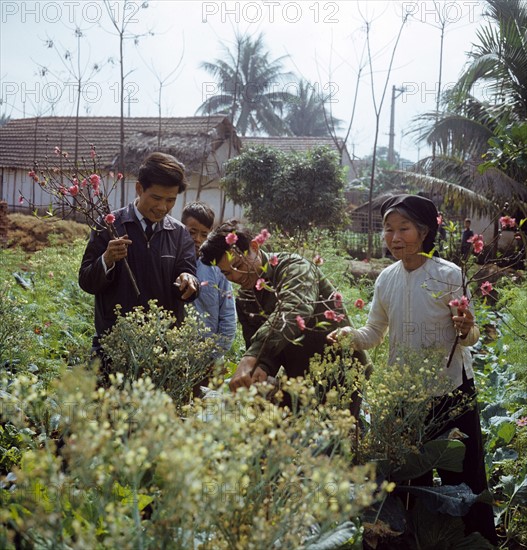 Historical Vietnam - North Vietnam 1973