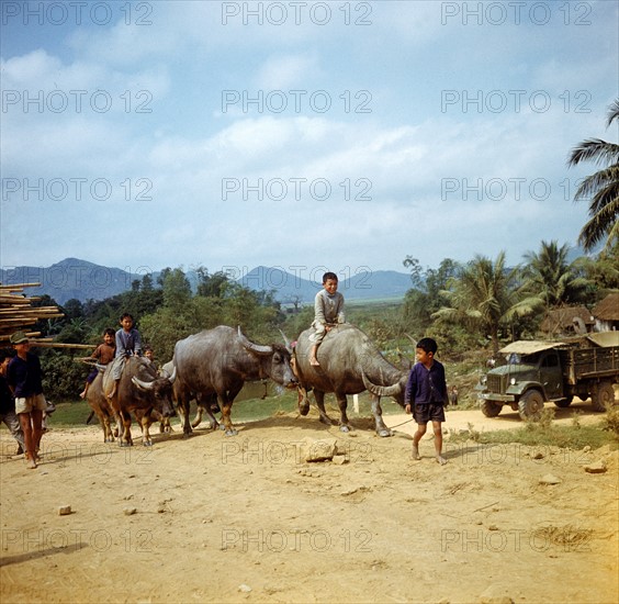 Historical Vietnam - North Vietnam 1973