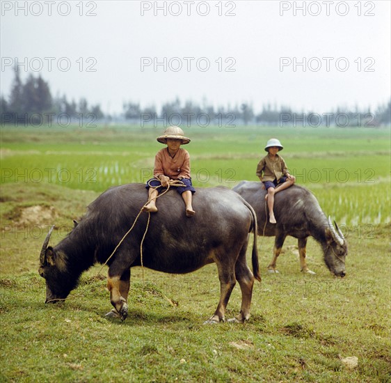 Historical Vietnam - North Vietnam1973