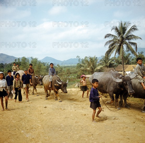 Historical Vietnam - North Vietnam 1973