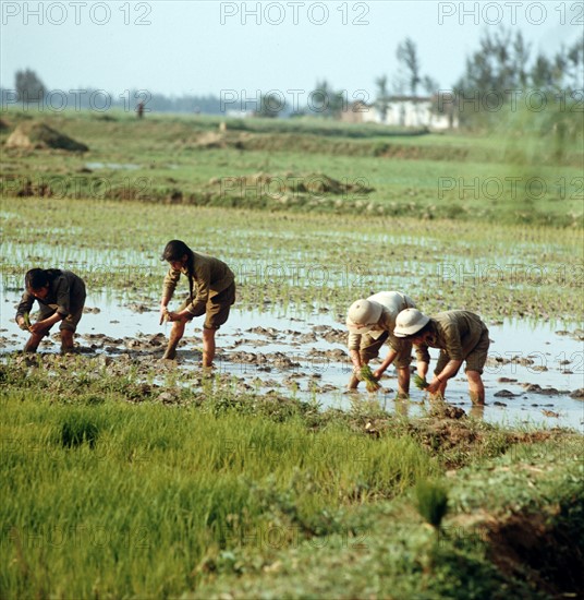 Historical Vietnam - North Vietnam 1973