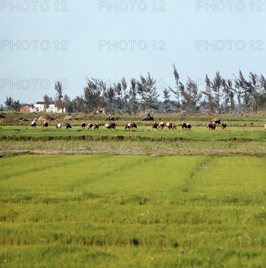 Historical Vietnam - North Vietnam 1973