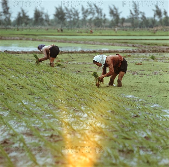 Historical Vietnam - North Vietnam 1973