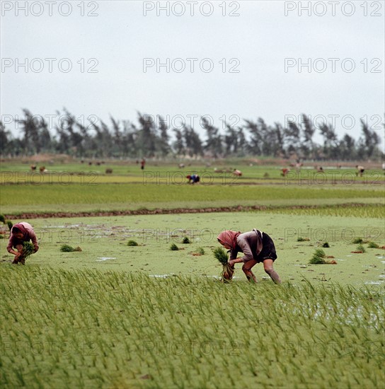 Historical Vietnam - North Vietnam 1973