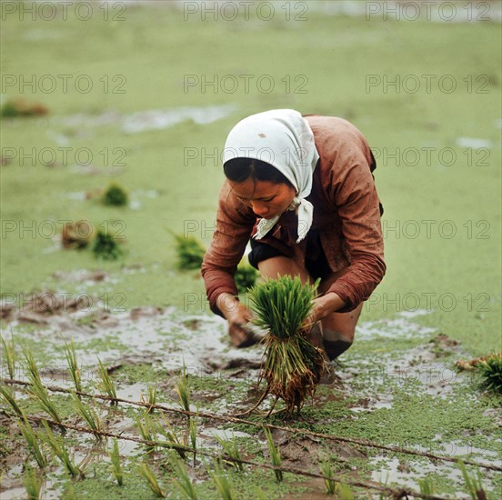 Historical Vietnam - North Vietnam 1973