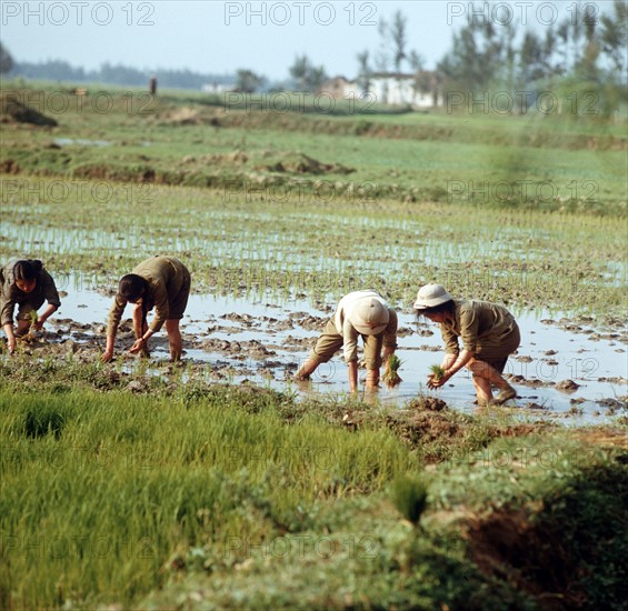 Historical Vietnam - North Vietnam 1973