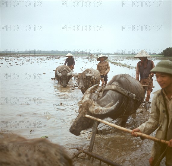 Historical Vietnam - North Vietnam 1973