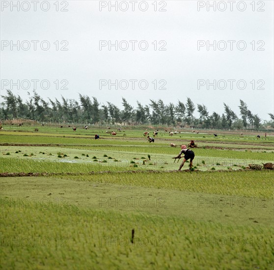 Historical Vietnam - North Vietnam 1973