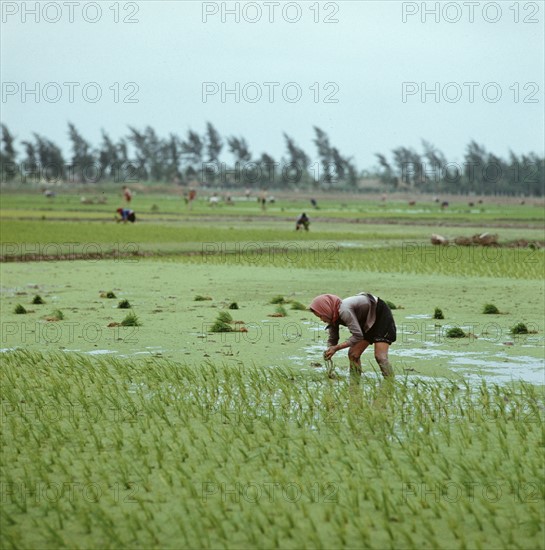 Historical Vietnam - North Vietnam 1973