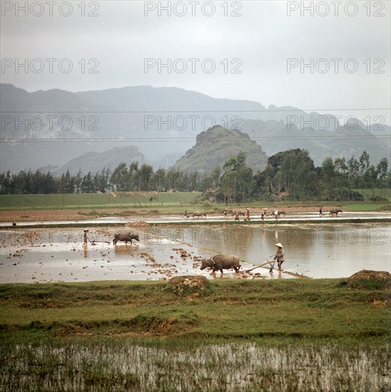 Historical Vietnam - North Vietnam 1973