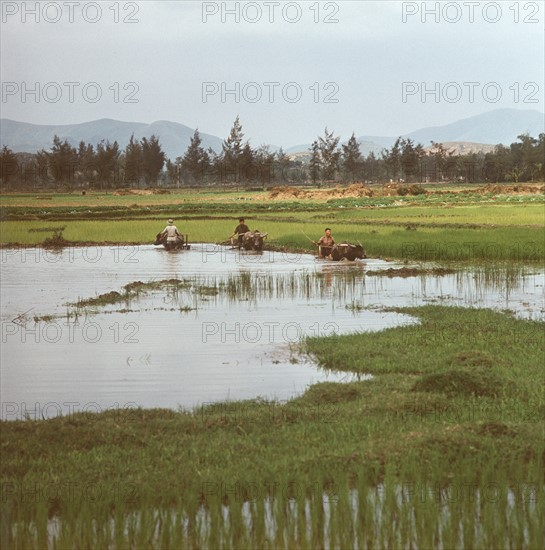 Historical Vietnam - North Vietnam 1973