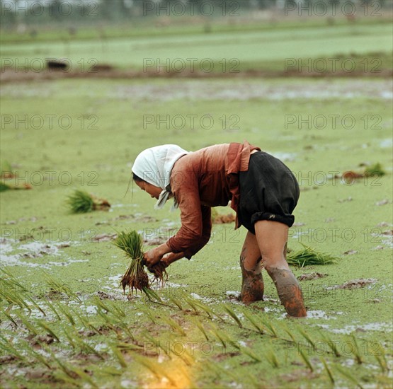 Historical Vietnam - North Vietnam 1973