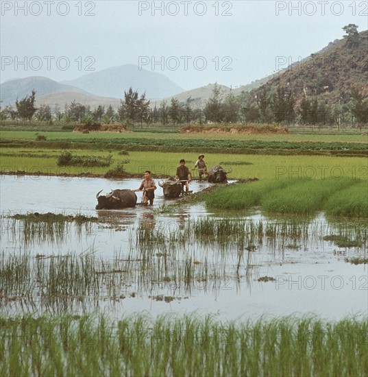 Historical Vietnam - North Vietnam 1973