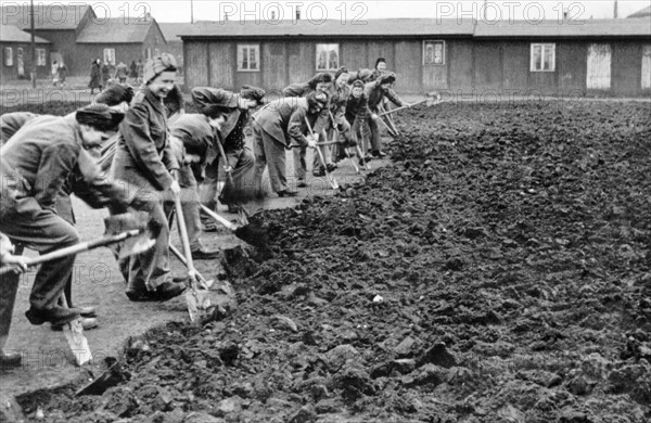 German refugees in Denmark