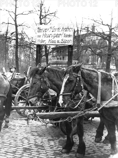 Demonstration against canceled feed supply