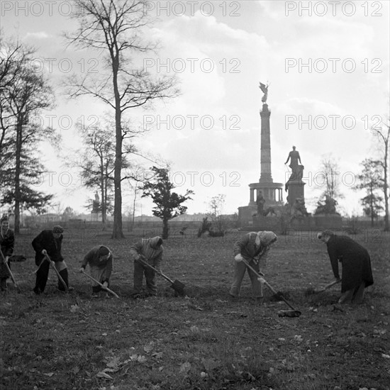 Post-war era - Berlin Tiergarten 1950