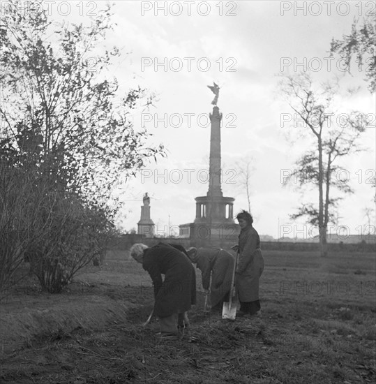 Post-war era - Berlin Tiergarten 1950