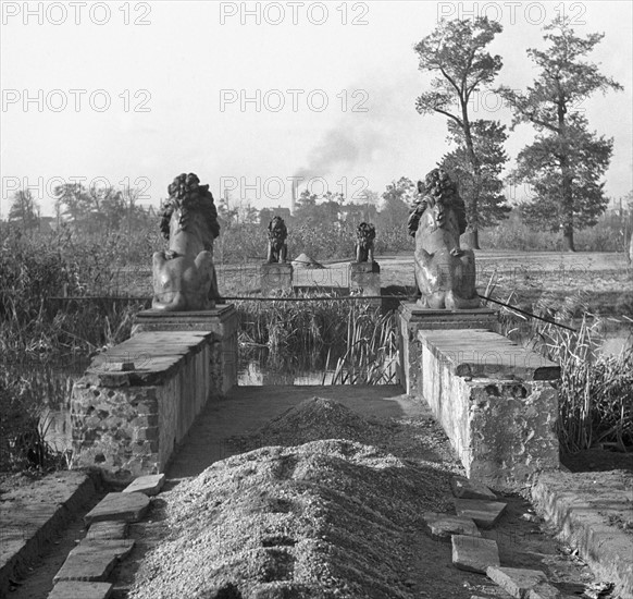 Post-war era - Berlin Tiergarten 1950