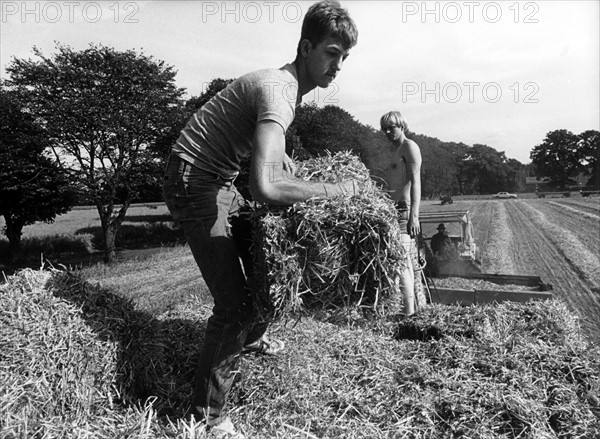 US soldiers help German farmers with harvest