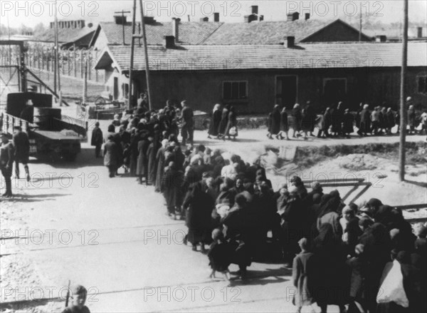 Concentration camp - Auschwitz